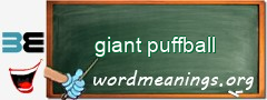 WordMeaning blackboard for giant puffball